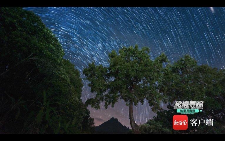 内扣是染色效果好还是不染好-你的全能问答平台