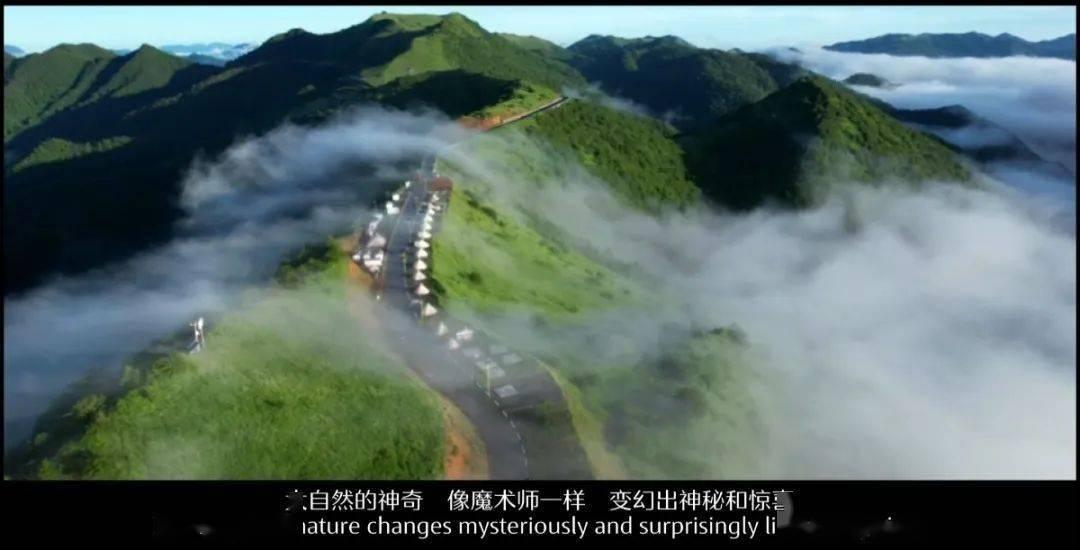 hahabet官网官方入口